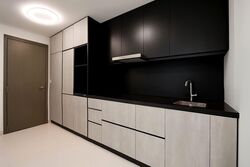 The Rise @ Oxley (D9), Condominium #585509781